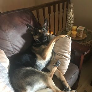 Meet your Posher, Scott